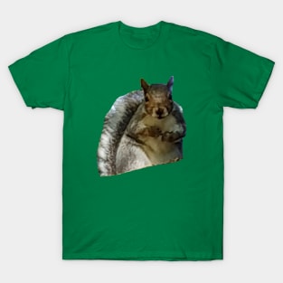 Big Animals Squirrel Abstract T-Shirt